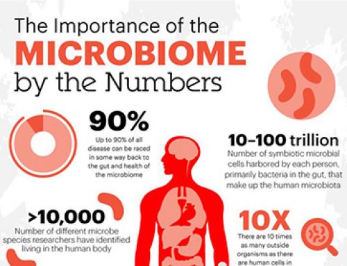 Importance of Your Microbiome